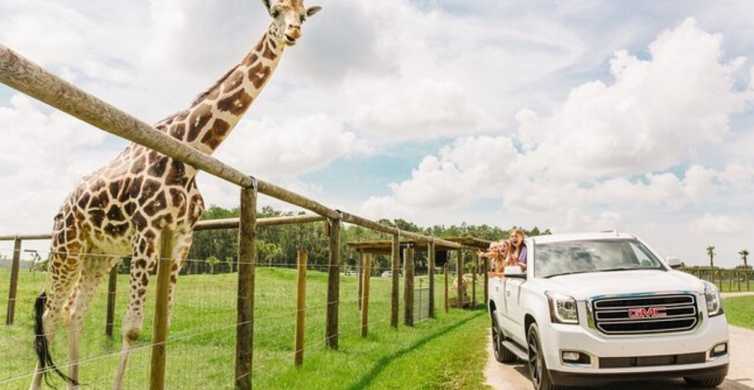 Orlando: Safari Park v Divoké Floridě: Drive-Thru Safari Park v Divoké Floridě