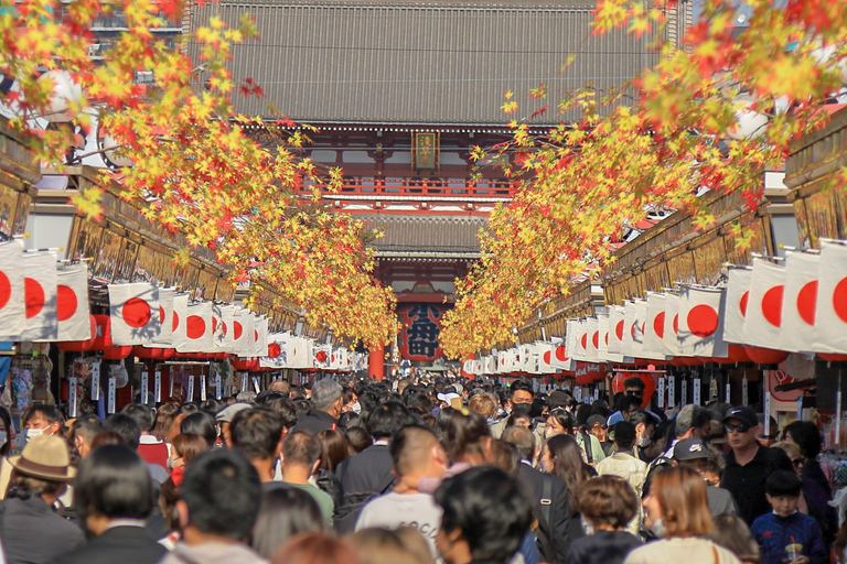 Tokyo: Tour panoramico in autobus di un giorno interoTour senza pranzo dalla scultura LOVE