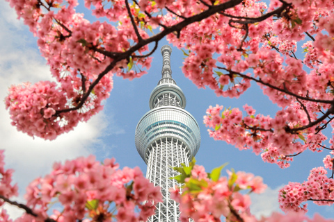 Tokyo: Tour panoramico in autobus di un giorno interoTour senza pranzo dalla scultura LOVE