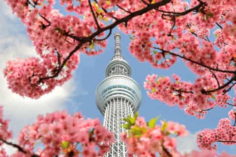 2026年浅草のクルーズ＆ボートツアーベストツアー - 無料キャンセル