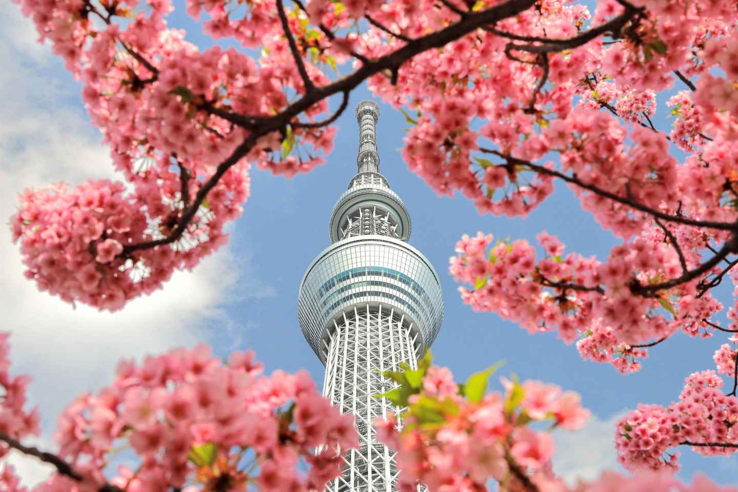 Itinerary gallery 2