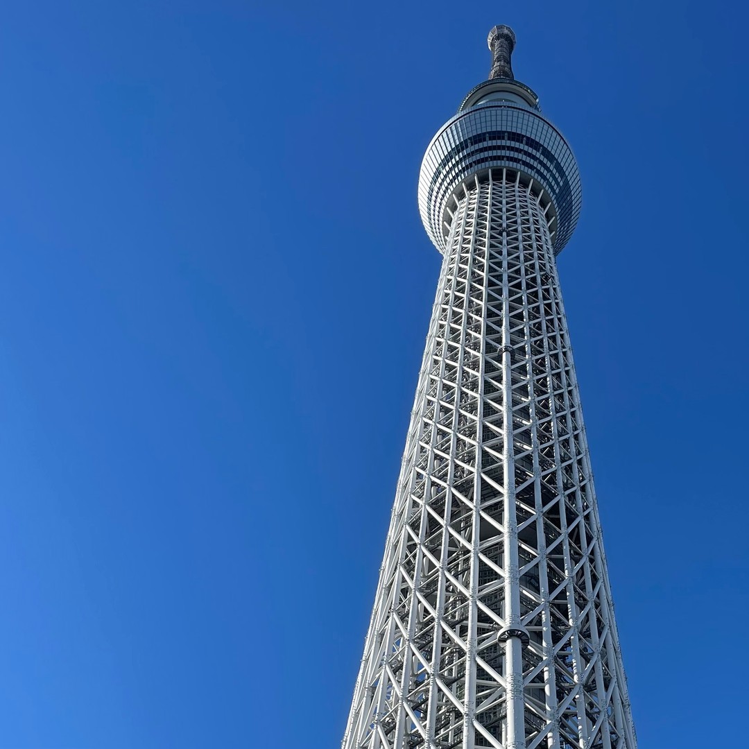 メディア コラージュ