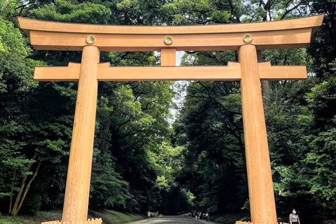 Tokyo: Tour panoramico in autobus di un giorno interoTour senza pranzo dalla scultura LOVE