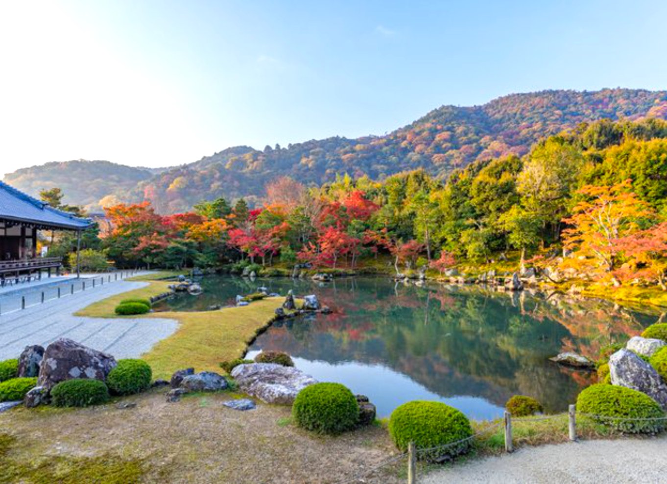 Kyoto: Arashiyama bambus, tempel, matcha, aber og hemmeligheder