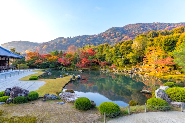 Kyoto: Arashiyama Walking Tour with Temple and Monkey Park Arashiyama Private Tour