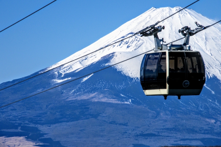 Desde Tokio: tour de 1 día a monte Fuji y crucero en HakoneTour sin almuerzo desde Matsuya Ginza, vuelta en autobús