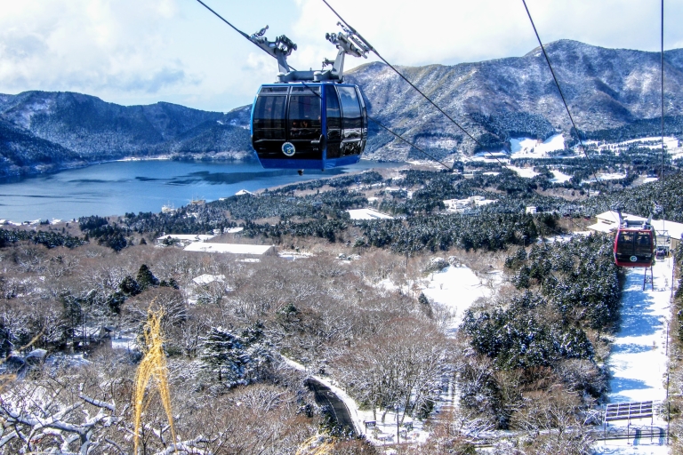 Desde Tokio: tour de 1 día a monte Fuji y crucero en HakoneTour con almuerzo desde la escultura LOVE, vuelta en autobús