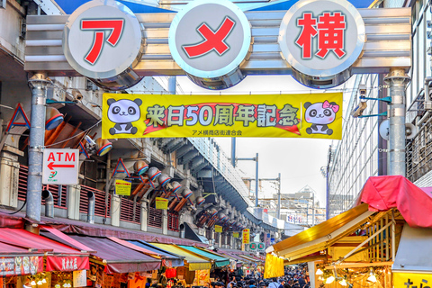 Tóquio: Excursão turística de ônibus pela manhãTour de Matsuya Ginza