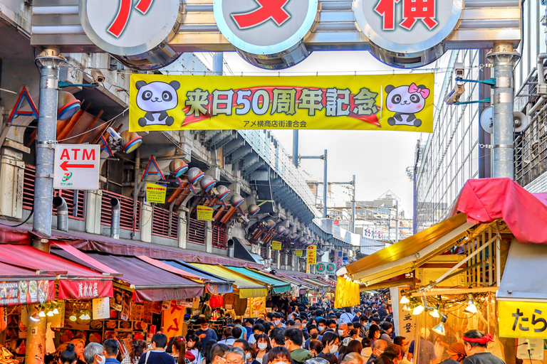 Tokyo: Tour panoramico mattutino in autobusTour da Matsuya Ginza