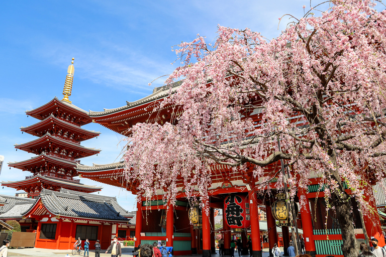 Tokyo: Tour panoramico mattutino in autobusTour da Matsuya Ginza