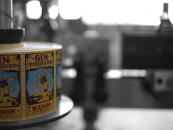 Mahón: Gin Distillery Tour with Tasting & Appetizers