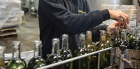Mahón, gira de destilería de ginebra con degustación y aperitivos - Housity