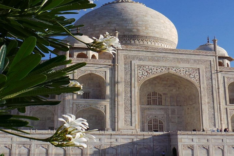 Excursión en Tuk Tuk por el Taj Mahal y la Agra localOpción Estándar