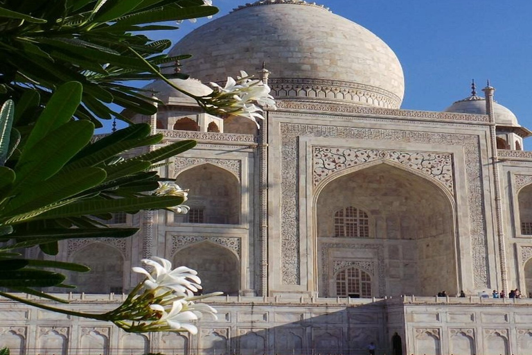 Excursión en Tuk Tuk por el Taj Mahal y la Agra localOpción Estándar