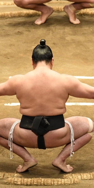 Nagoya,Sumo Wrestling Tournament S-Class Seats - Housity