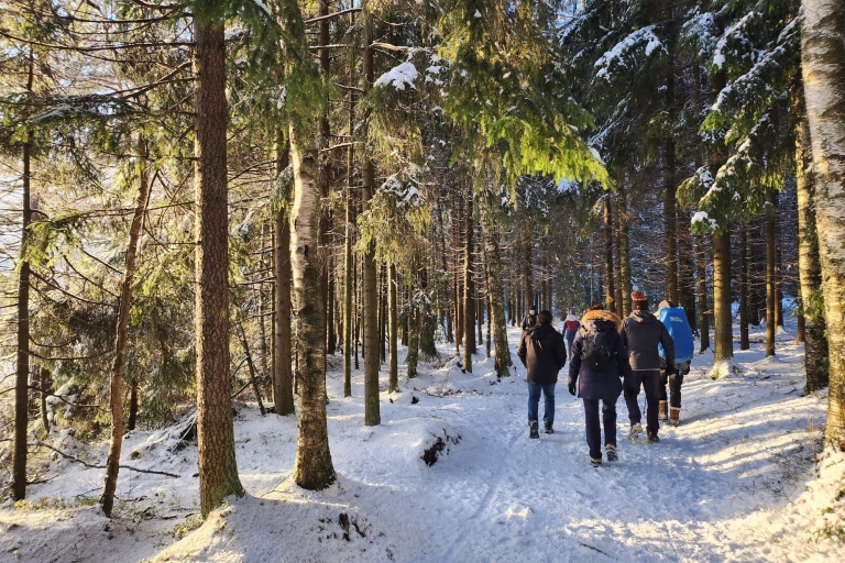 Nationalpark-Wanderung & Finnische Rauchsauna-Erlebnis