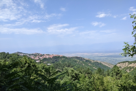 Excursión vinícola de Kakheti