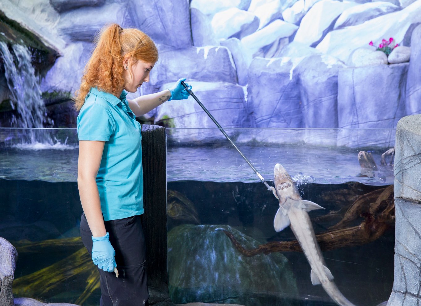 Oberhausen: Billet til LEGOLAND Discovery Centre og SEA LIFE