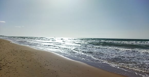 Corfu: Private Full-Day Northern Beaches Tour