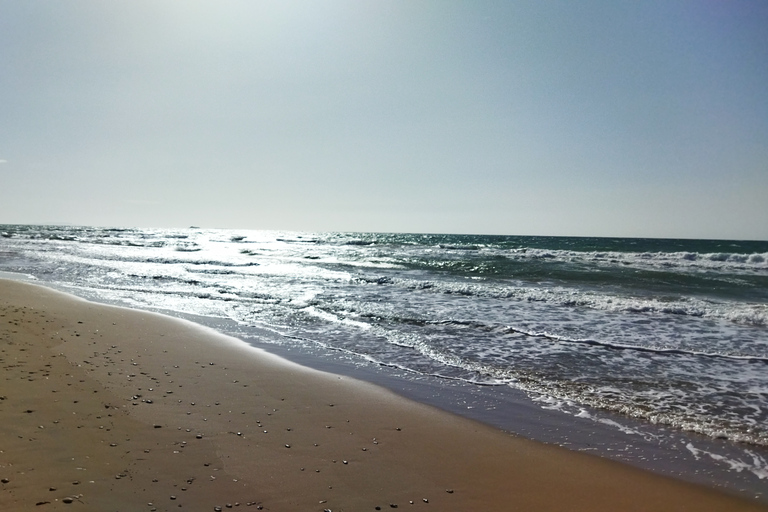 Corfou, excursion privée d'une journée entière sur la plage