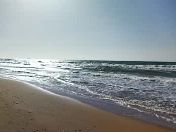 Corfú: Excursión privada de un día por las Playas del Norte