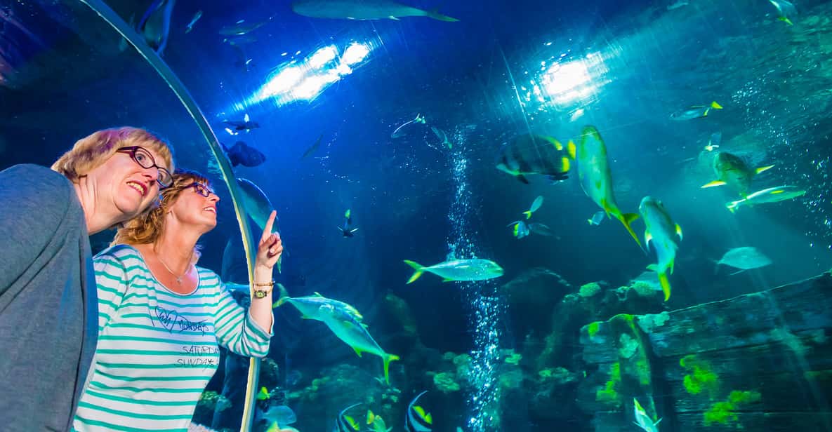 Afbeelding 9 van Oberhausen: SEA LIFE Oberhausen toegangsbewijs