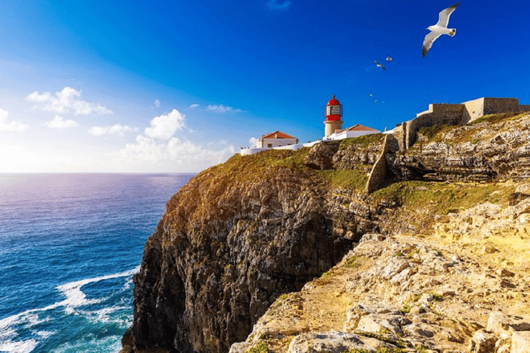 De Albufeira: Excursão de meio dia a Lagos e Sagres