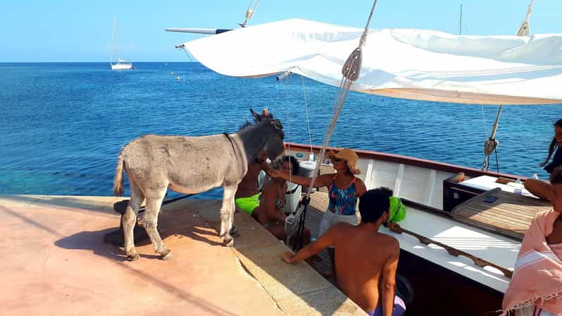 From Stintino: Asinara Island Wooden Sailboat Trip W/Lunch | GetYourGuide