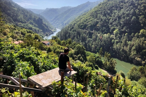 From Santiago: Ribeira Sacra Tour, Boat Trip & Wine Tasting From Santiago: Tour to Ribeira Sacra with boat trip + Winery