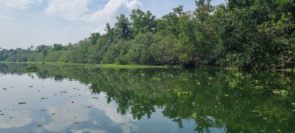 Cochin: Half-Day Backwater Village Eco Boat Cruise W/ Lunch | GetYourGuide