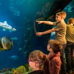 Monaco: biglietto giornaliero per il Sea Life