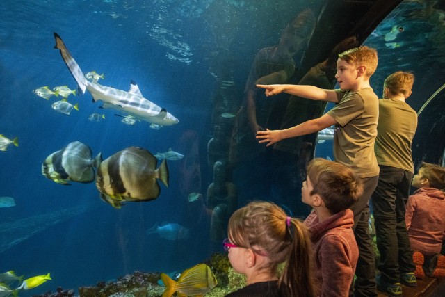 Visit Munich Day Ticket to Sea Life in Seguin, Texas