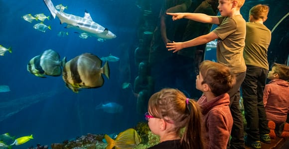 Munich: Day Ticket to Sea Life