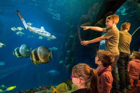 Munich : billet 1 jour pour l'aquarium Sea LifeMunich : billet 1 jour aquarium Sea Life - dernière minute