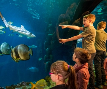 Jednodniowy bilet do Sea Life