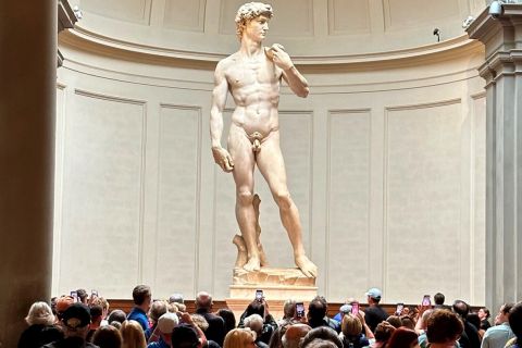 Firenze: Omvisning i Galleria dell'Accademia kunstmuseum