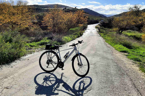 Corinth and Nemea: E-bike tour to ancient vineyards