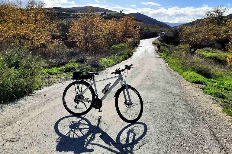 Corinto y Nemea: Recorrido en bicicleta eléctrica por antiguos viñedos