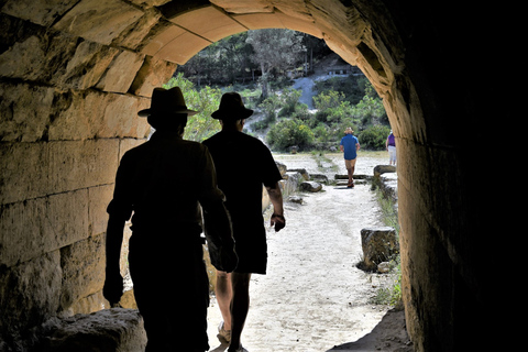 Corinth and Nemea: E-bike tour to ancient vineyards