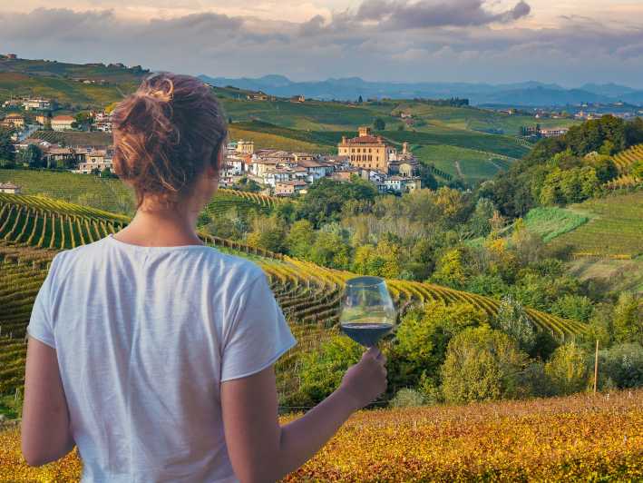 From Alba/Turin: Langhe Wine Day Trip with Tastings & Lunch