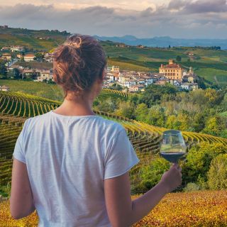 From Alba: Langhe Wine Day Trip with Tastings and Lunch