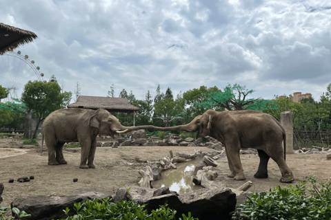 Shanghai: Wild Animal Park Day Trip with Safari Bus Wild Animal Park Day Trip with Shanghai Eternal Love