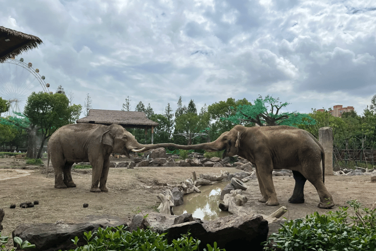 Shanghai: Wild Animal Park Day Trip with Safari Bus Wild Animal Park Day Trip