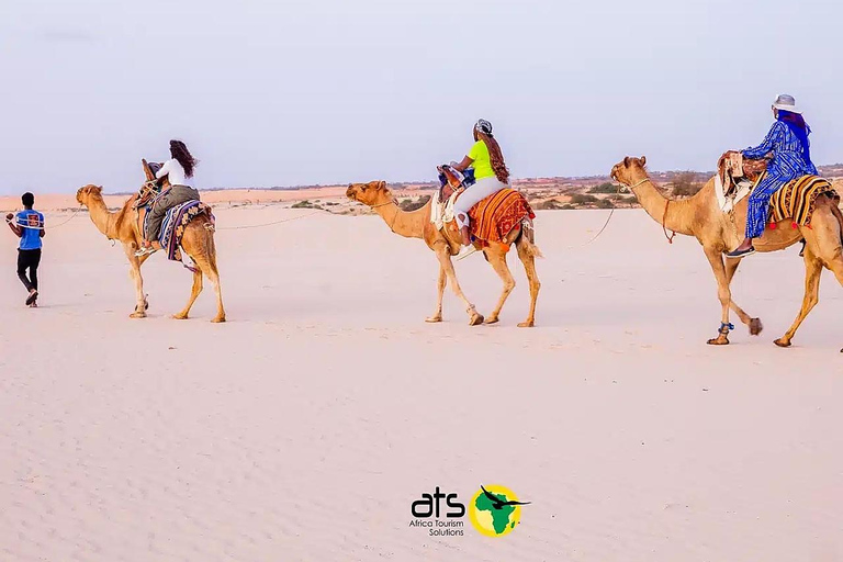 From Dakar: Overnight in the Lompoul Desert, Dromedary, and 4x4 From Dakar: Overnight in the Lompoul Desert, Camel Ride, and 4WD