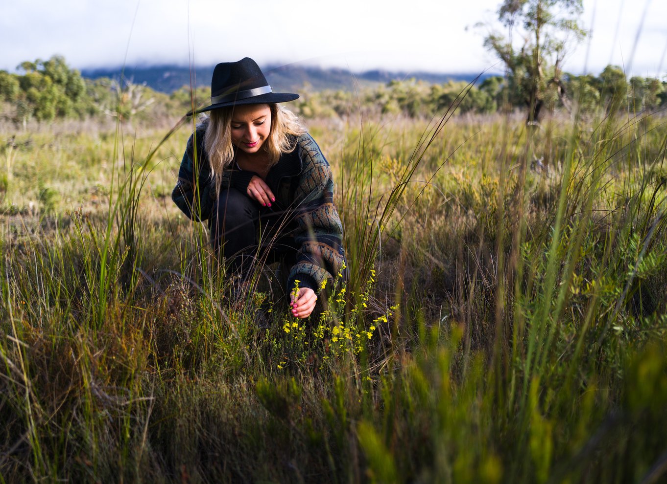 Fra Melbourne: Grampians National Park Bushwalking Tour