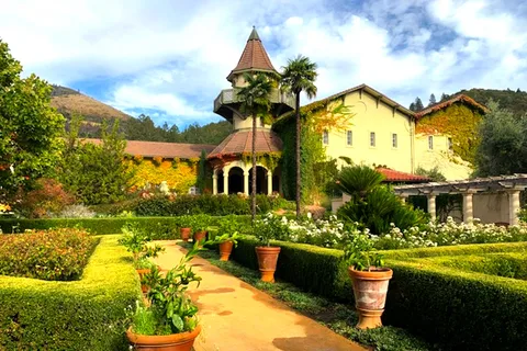 From San Francisco: Private Muir Woods and Napa Wine Tour