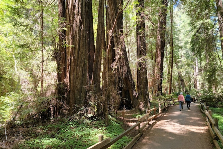 8hrs - Private SUV Muir Woods and Napa/Sonoma Wine Tour