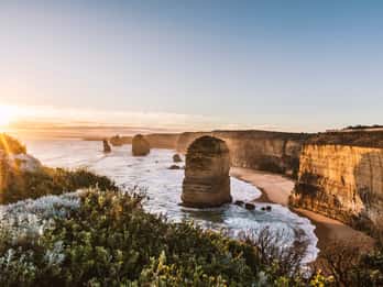 Melbourne: Great Ocean Road, 12 Apostles & Rainforest Tour
