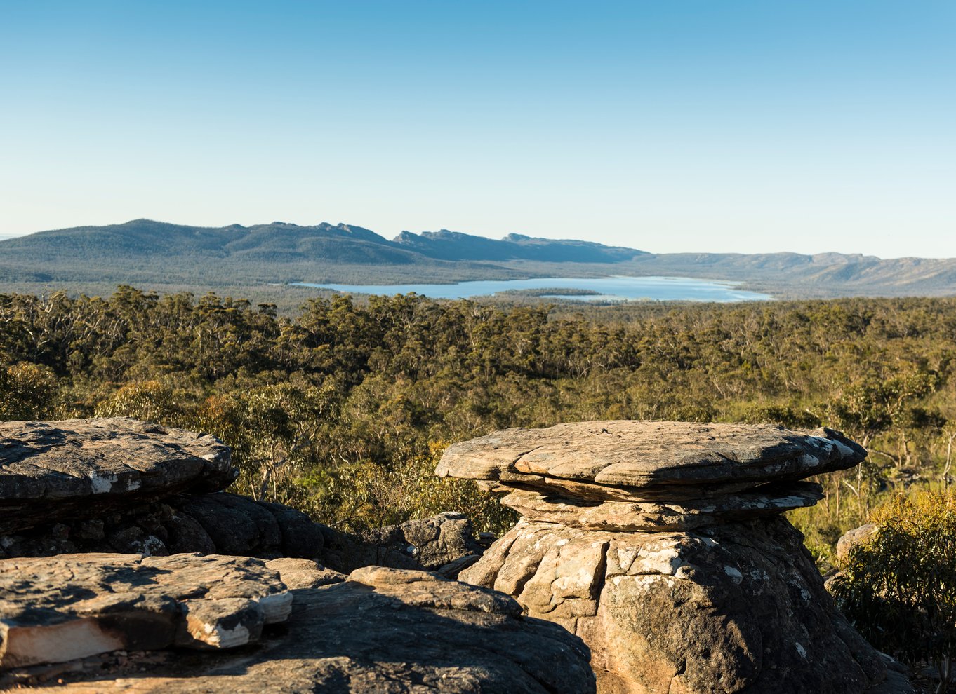 Fra Melbourne: Grampians National Park Bushwalking Tour