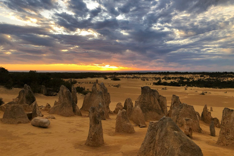 From Perth: Pinnacles Sunset and Stargazing Tour with Dinner